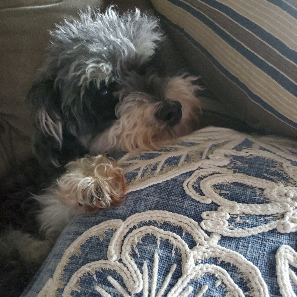 Meet your Posher, Kimberly